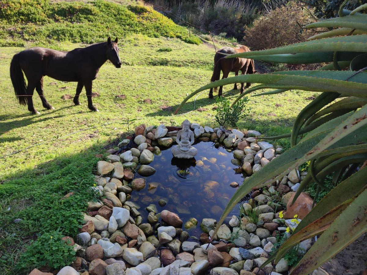 The Riverstone - Romantic Hideaway By The River - Loadshedding Free! Napier ภายนอก รูปภาพ